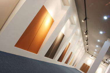 терракота панелей плакирования стены толщины 18мм архитектурноакустическая обшивает панелями серию Ф18
